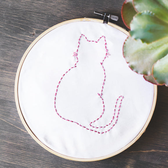 The Most Essential Tips for Cat Care