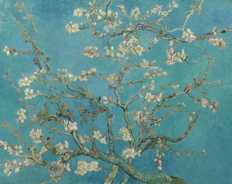 Almond Blossoms Wall Art